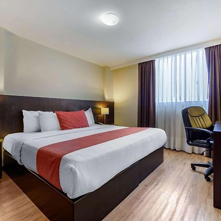 Comfort Inn San Luis Potosí Dış mekan fotoğraf