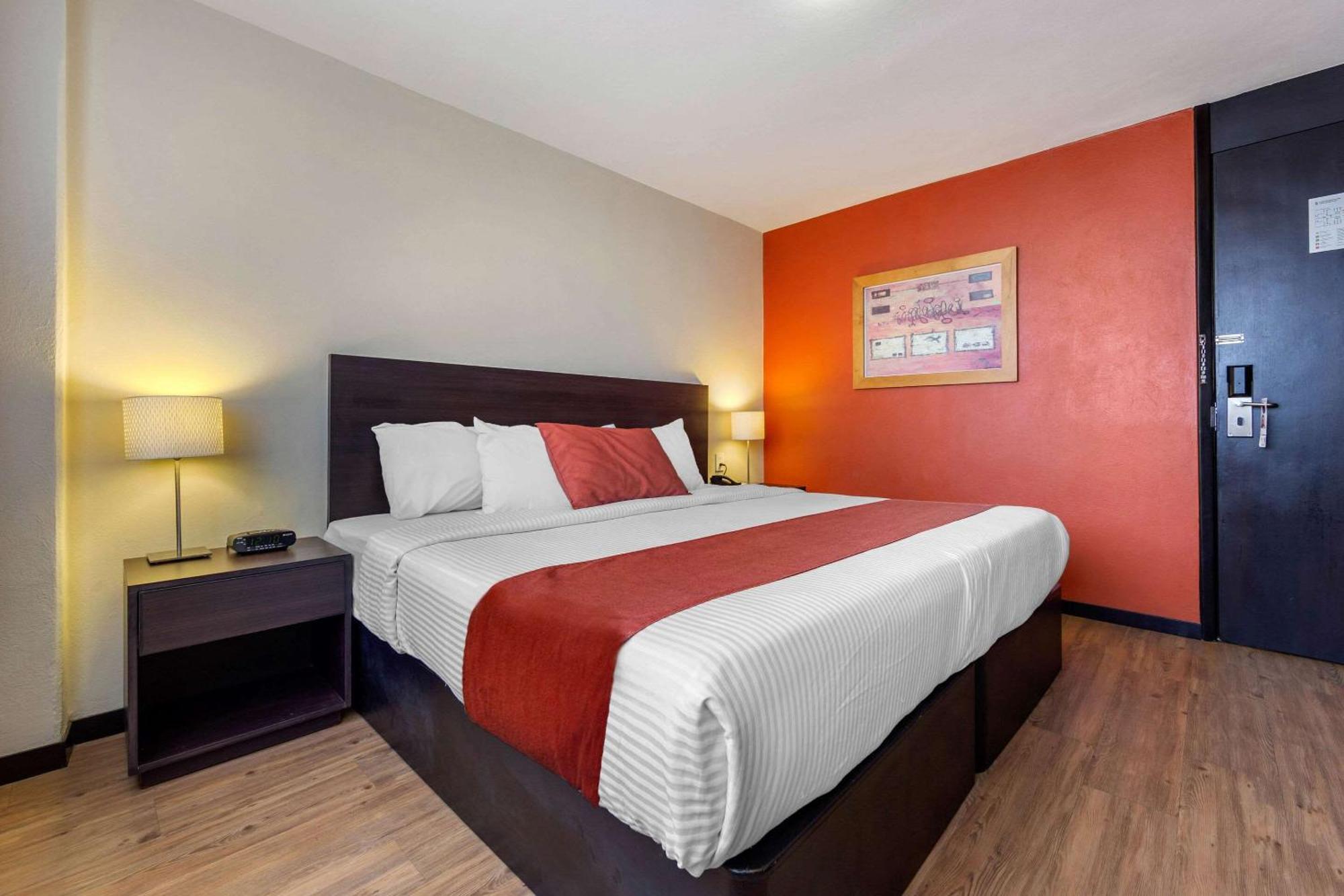 Comfort Inn San Luis Potosí Dış mekan fotoğraf