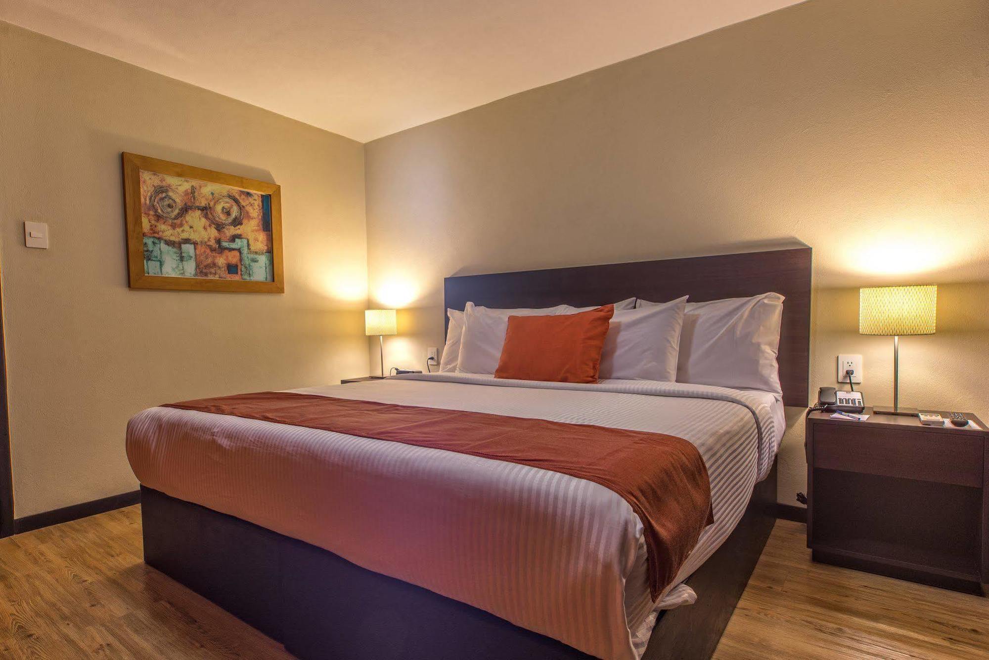 Comfort Inn San Luis Potosí Dış mekan fotoğraf